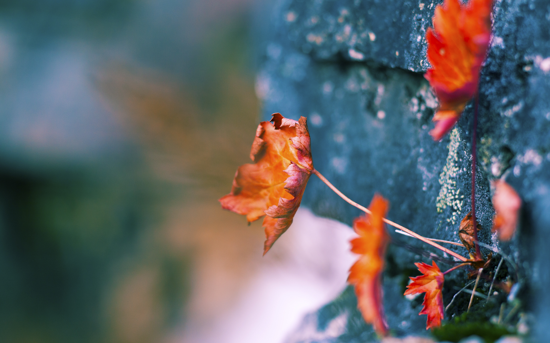 乐鱼体育官方网站-雷霆公布新赛季球衣设计草图，雷霆球衣版本