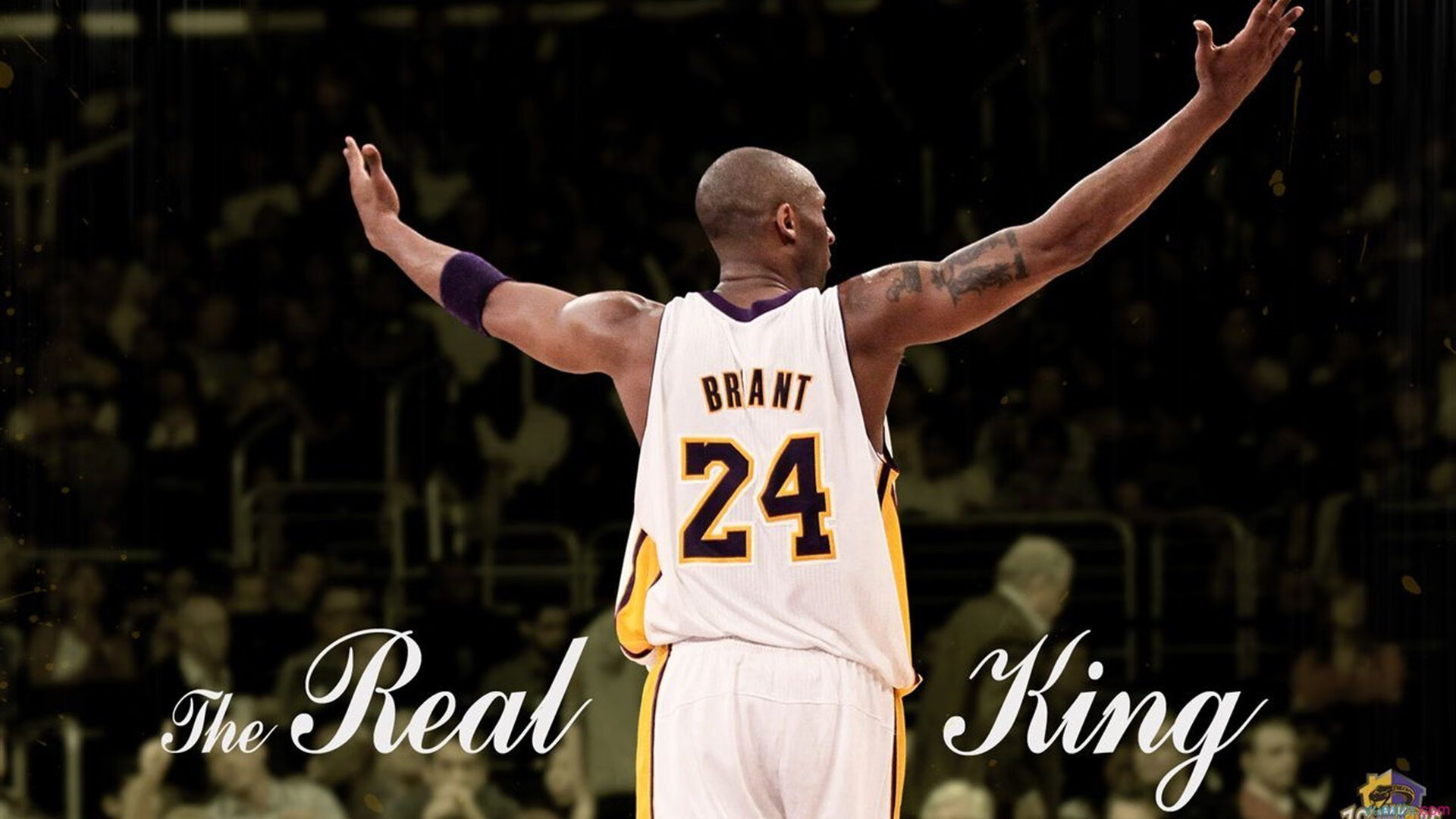 观众互动新体验：现场投票选出最喜爱球员，球星投票