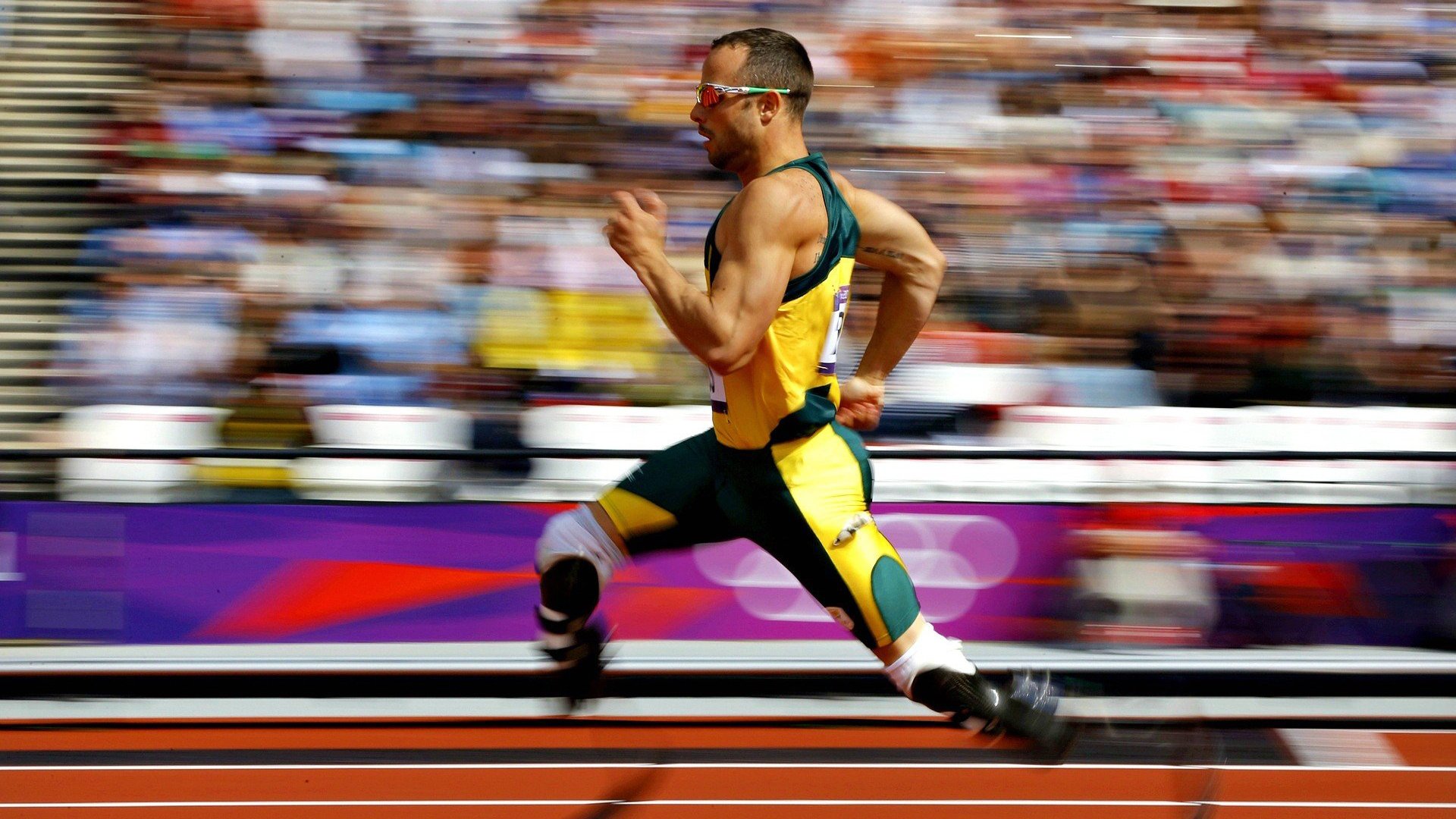 车迷疯狂：全球F1聚会盛况，f1车队汽车品牌